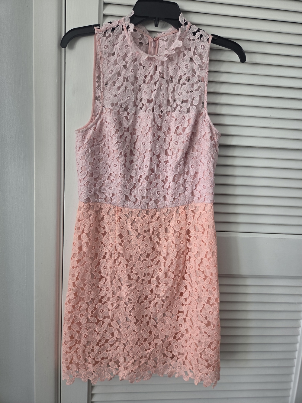 Slate & Willow Two-Tone Pink Lace Mini Dress